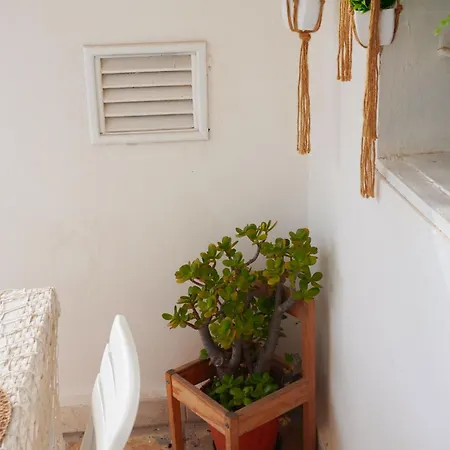 Casa Con Terrazza Vakantiehuis